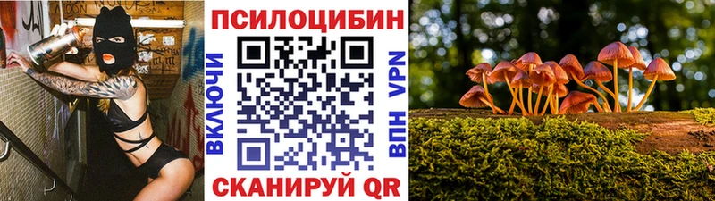 Псилоцибиновые грибы Psilocybe  OMG как войти  Мончегорск 